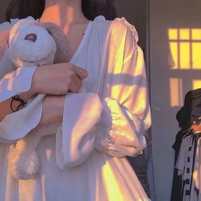 安妮日记：始末